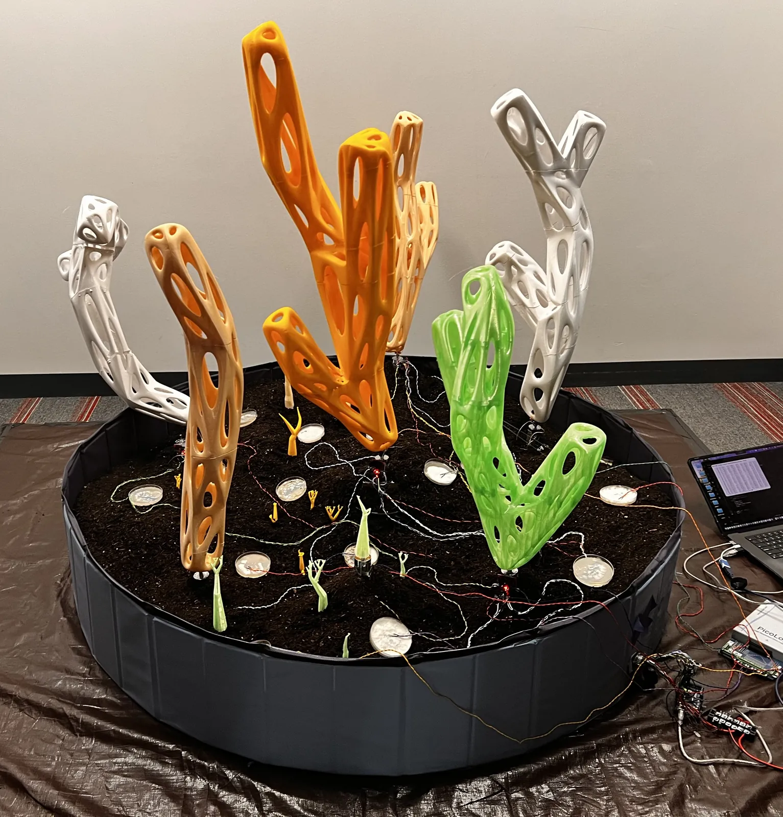 The mycelium installation in a circular growing bed, with openwork sculptures, electrodes, and a MacBook Pro.